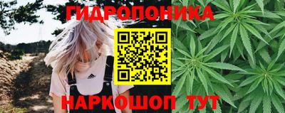 наркотики Гусиноозёрск