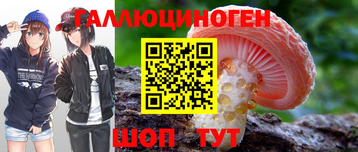 Галлюциногенные грибы ЛСД Ногинск
