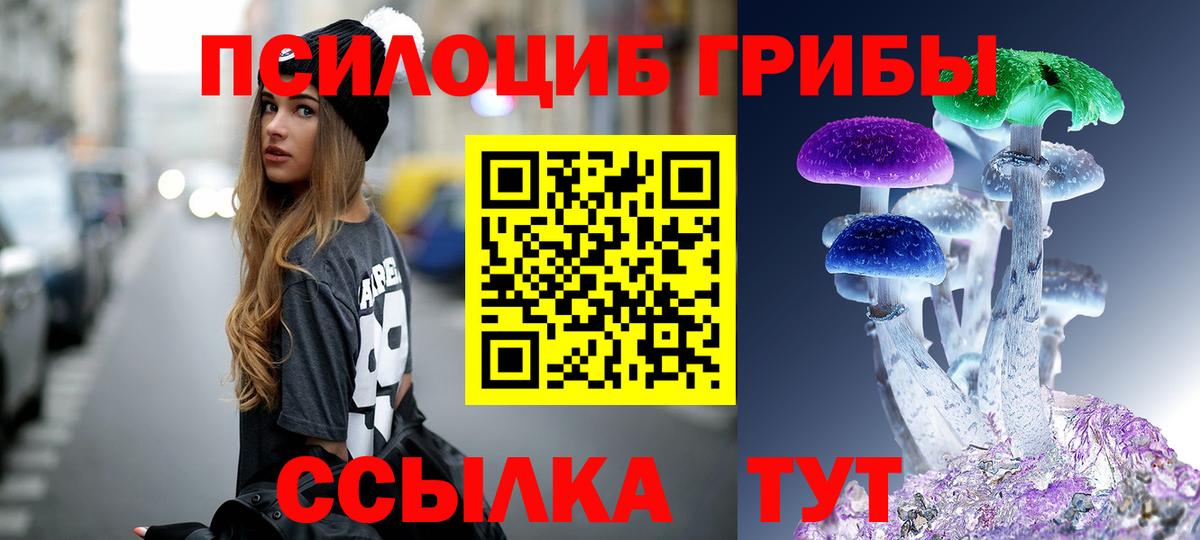 Псилоцибиновые грибы MAGIC MUSHROOMS  Галлюциногенные грибы прущие грибы  Ногинск  Вход с VPN 