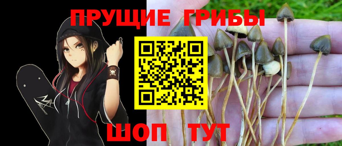 ГАШИШ Ногинск