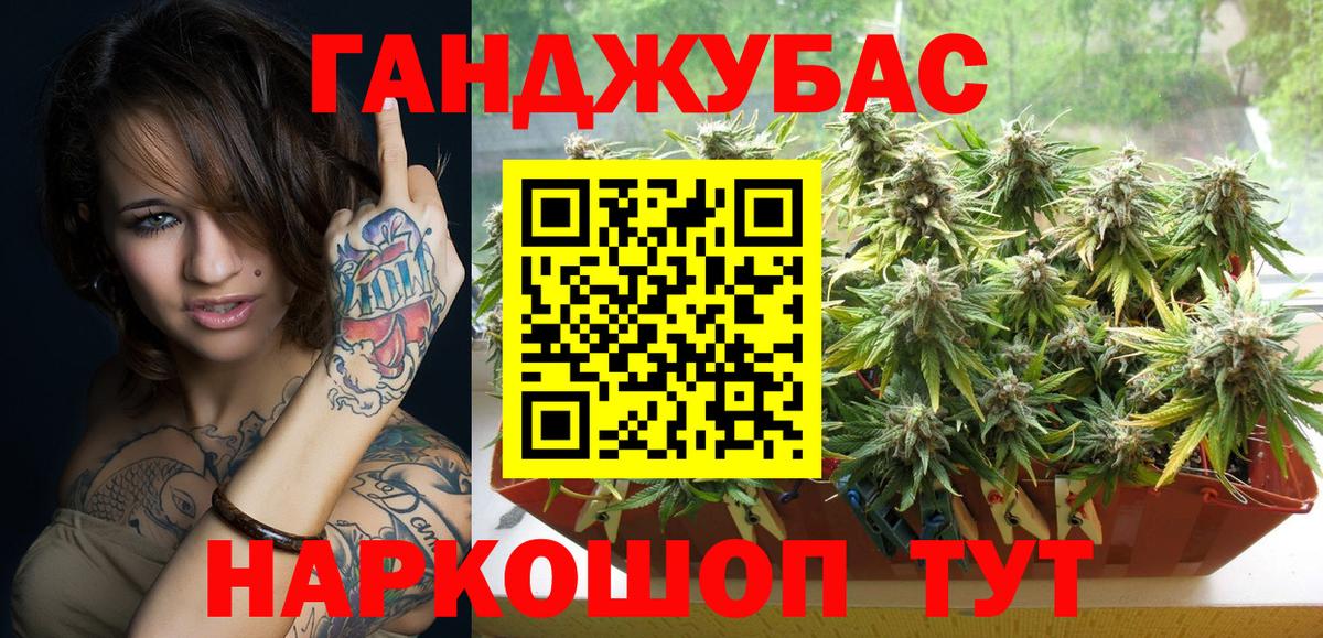 Бошки Шишки планчик Ногинск